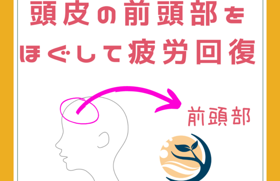 ヘッドスパ講座④｜頭の前頭部をほぐして疲労や肩こりを改善！！