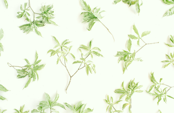 自然な白髪染めを実現する仙台のヘアサロン「KAGURA」の魅力とは？｜仙台市若林区にある大人女性の美容室kagura